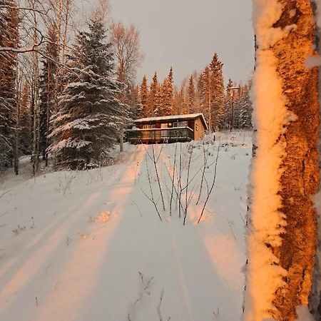 Northwoods Cottage Bed And Breakfast แฟร์แบงค์ส ภายนอก รูปภาพ