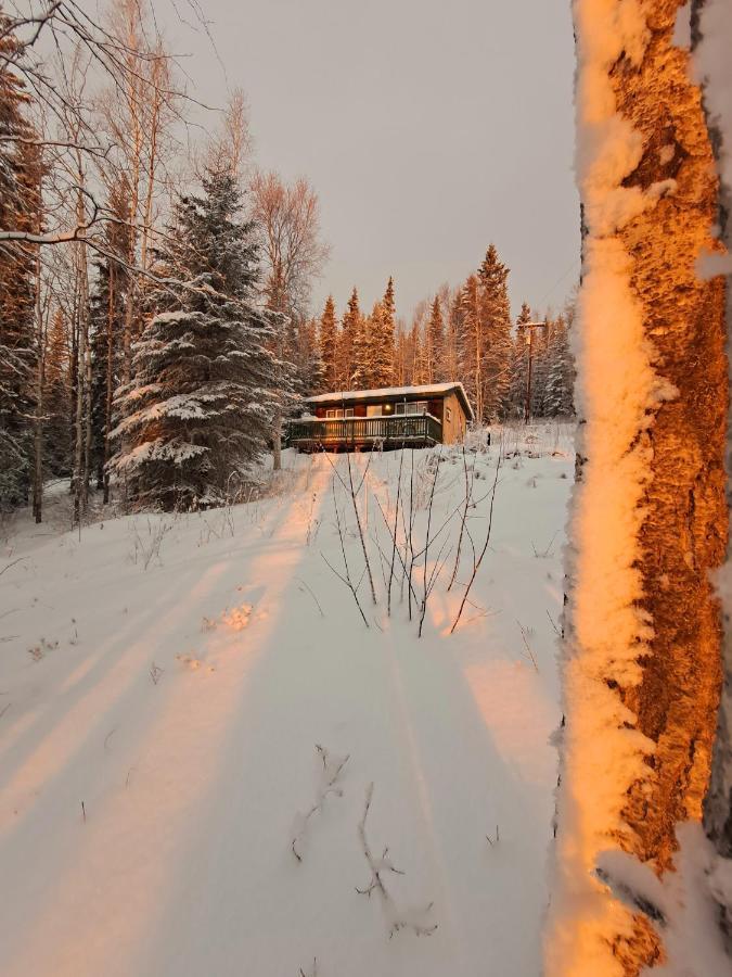 Northwoods Cottage Bed And Breakfast แฟร์แบงค์ส ภายนอก รูปภาพ