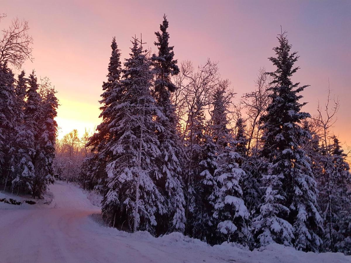 Northwoods Cottage Bed And Breakfast แฟร์แบงค์ส ภายนอก รูปภาพ