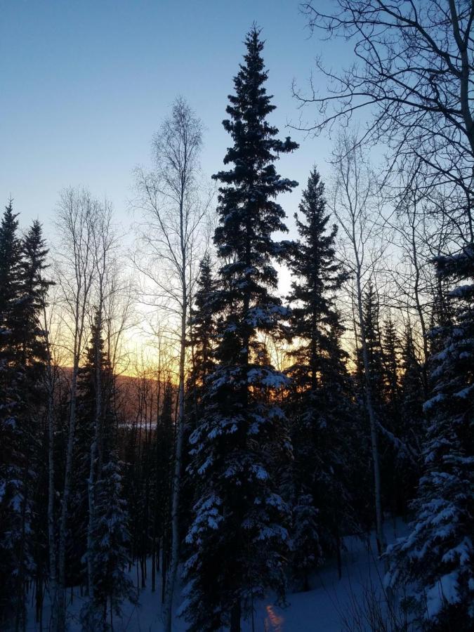 Northwoods Cottage Bed And Breakfast แฟร์แบงค์ส ภายนอก รูปภาพ