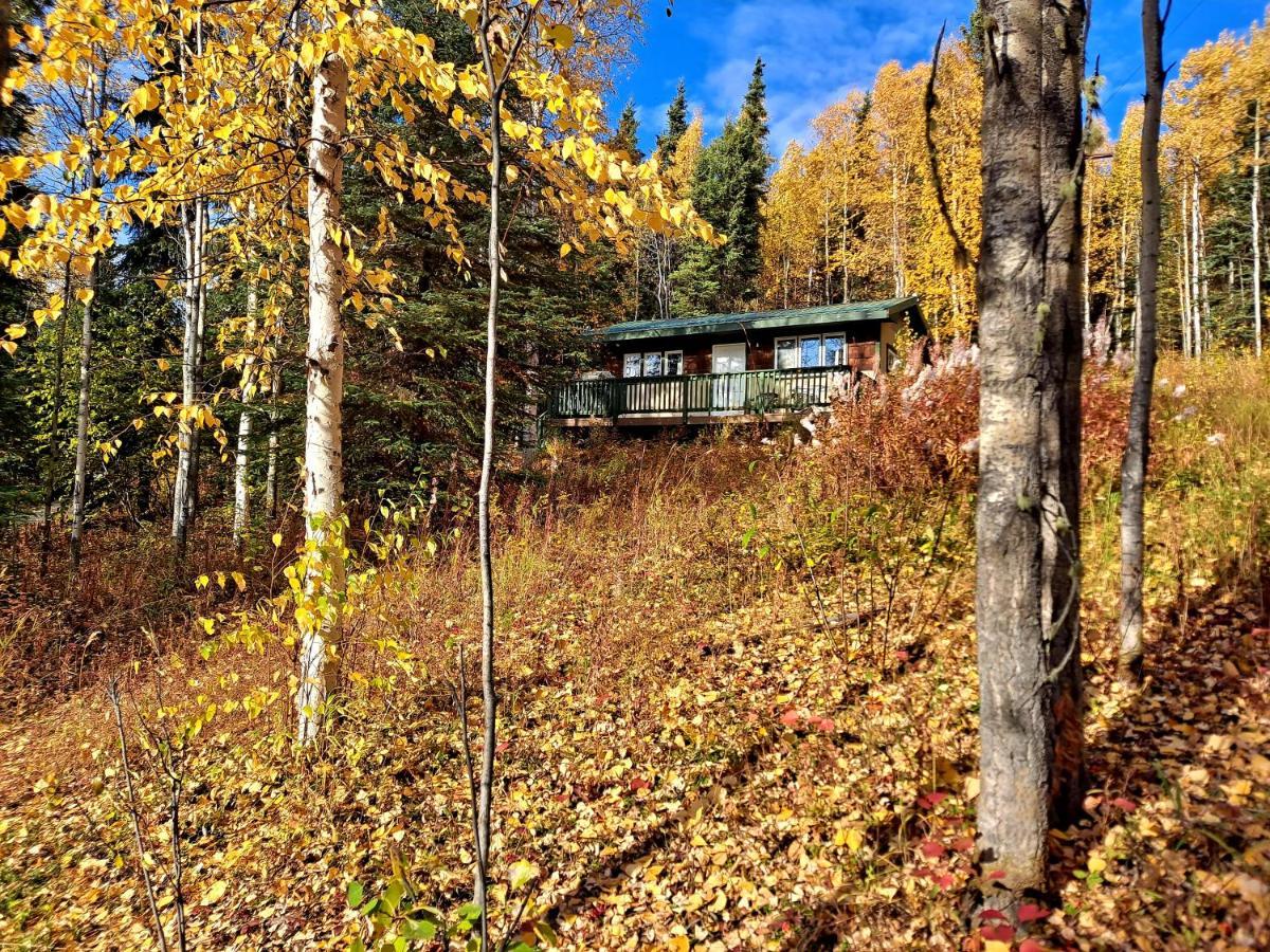 Northwoods Cottage Bed And Breakfast แฟร์แบงค์ส ภายนอก รูปภาพ