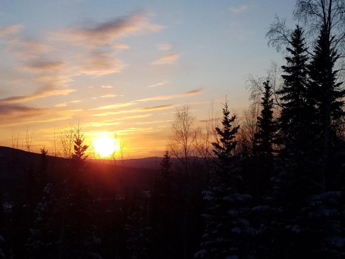 Northwoods Cottage Bed And Breakfast แฟร์แบงค์ส ภายนอก รูปภาพ