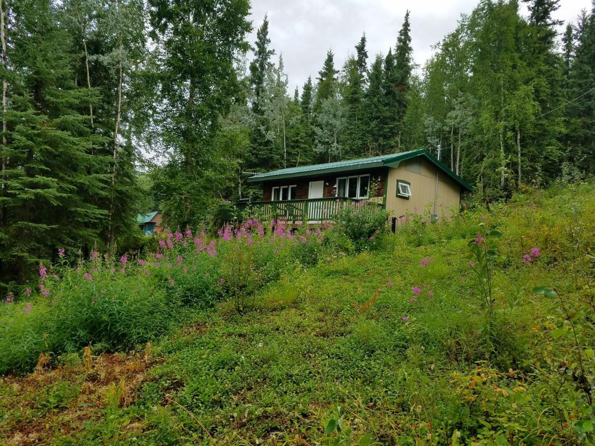 Northwoods Cottage Bed And Breakfast แฟร์แบงค์ส ภายนอก รูปภาพ