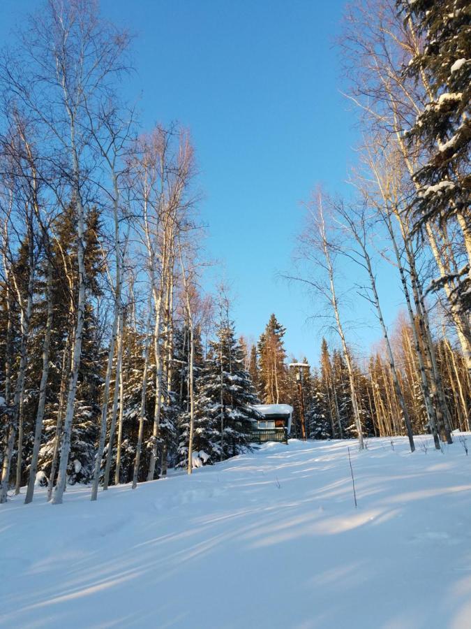 Northwoods Cottage Bed And Breakfast แฟร์แบงค์ส ภายนอก รูปภาพ