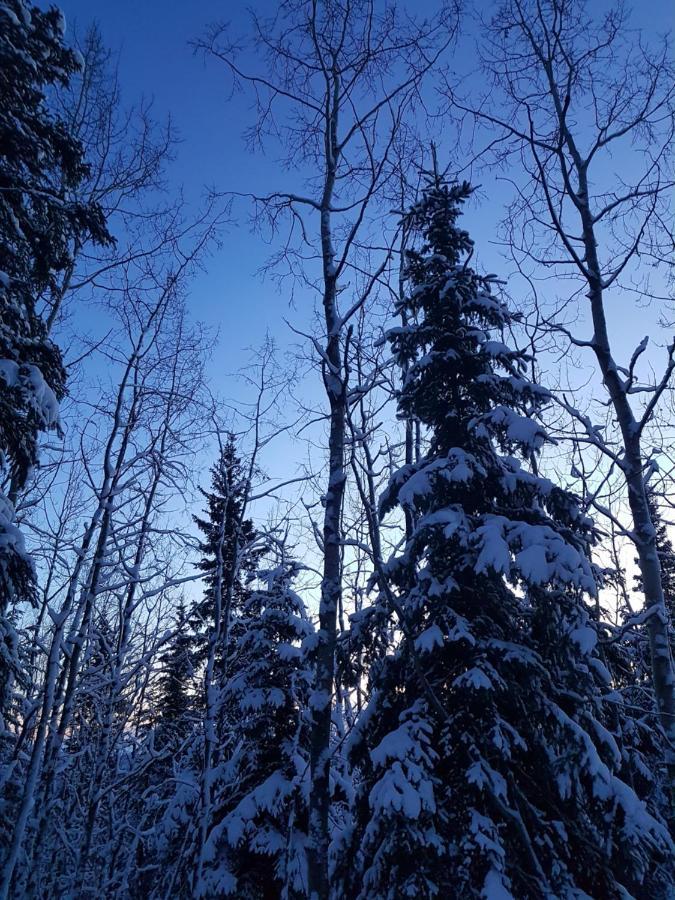 Northwoods Cottage Bed And Breakfast แฟร์แบงค์ส ภายนอก รูปภาพ