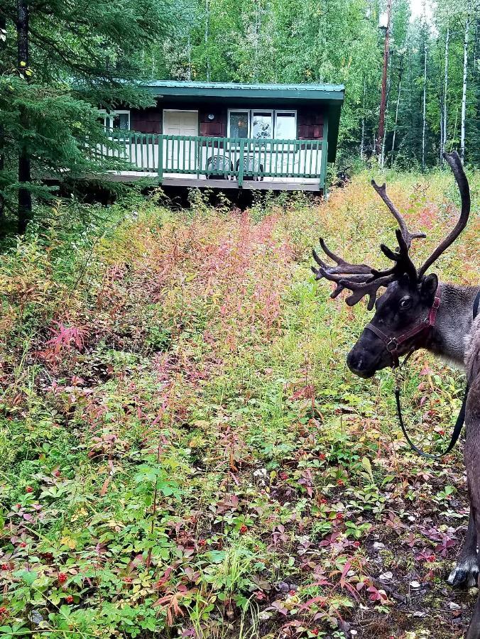 Northwoods Cottage Bed And Breakfast แฟร์แบงค์ส ภายนอก รูปภาพ