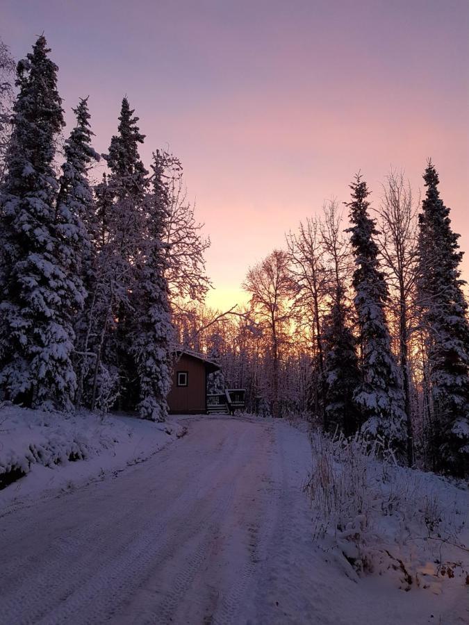 Northwoods Cottage Bed And Breakfast แฟร์แบงค์ส ภายนอก รูปภาพ
