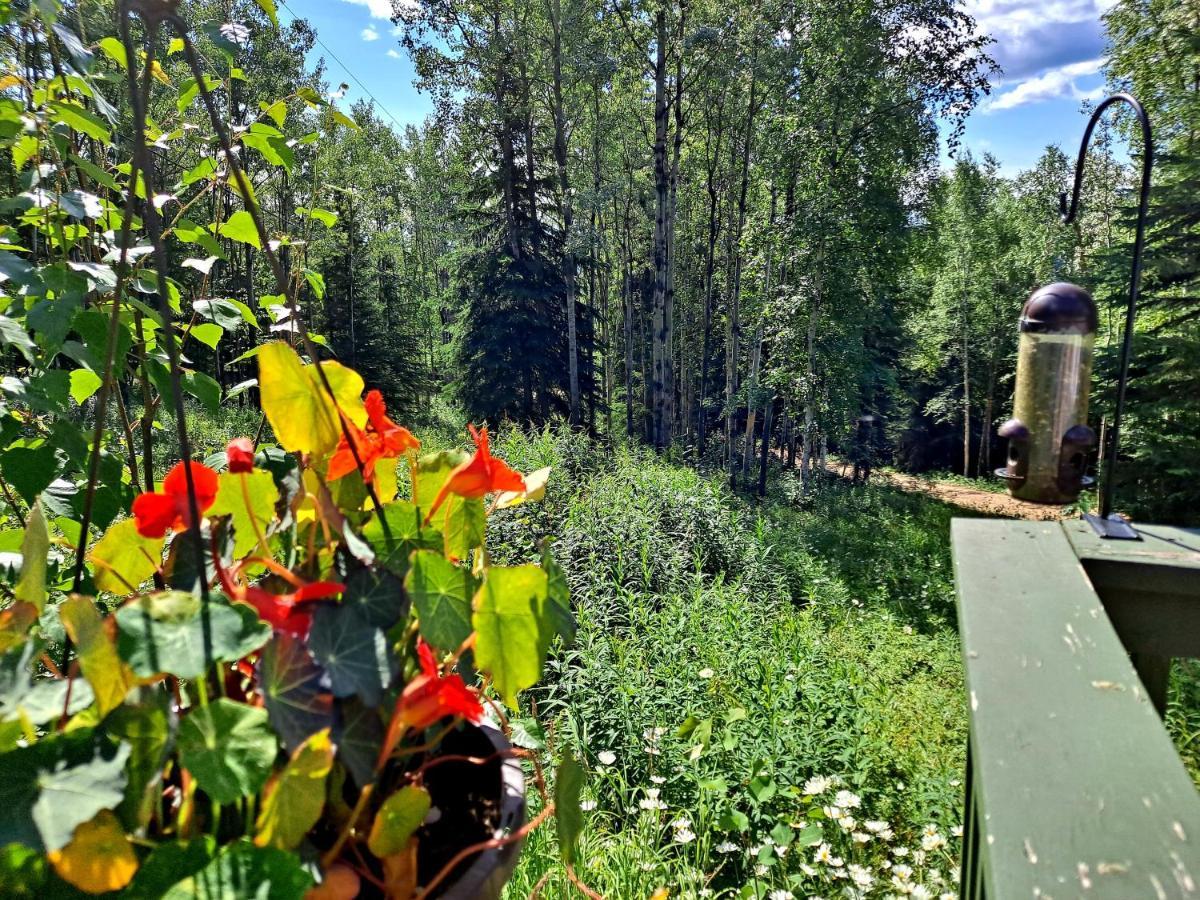 Northwoods Cottage Bed And Breakfast แฟร์แบงค์ส ภายนอก รูปภาพ