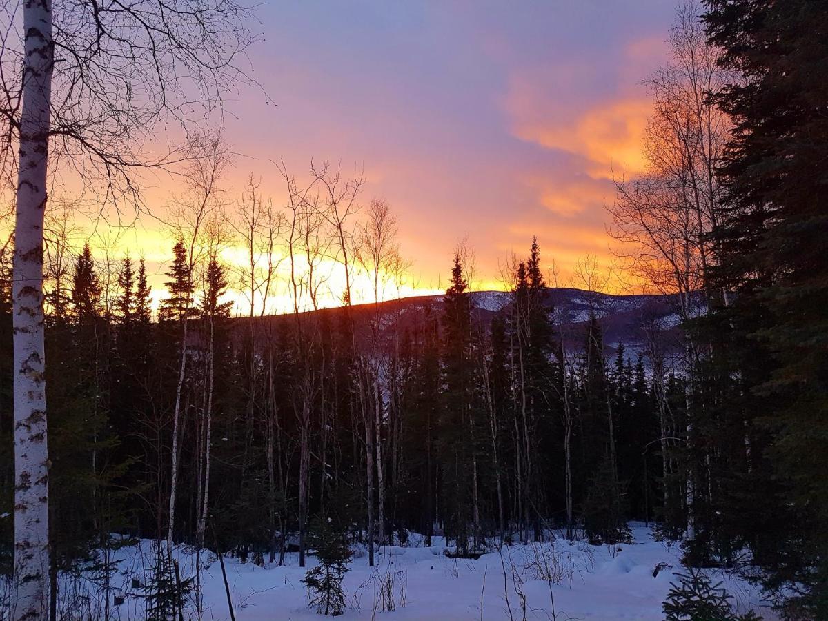 Northwoods Cottage Bed And Breakfast แฟร์แบงค์ส ภายนอก รูปภาพ