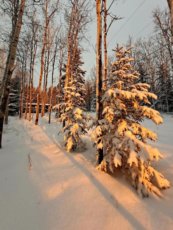 Northwoods Cottage Bed And Breakfast แฟร์แบงค์ส ภายนอก รูปภาพ